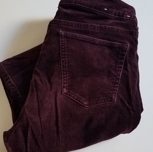 Uniqlo Maroon Heattech Cordurou Pants